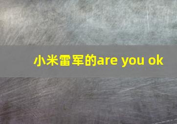 小米雷军的are you ok